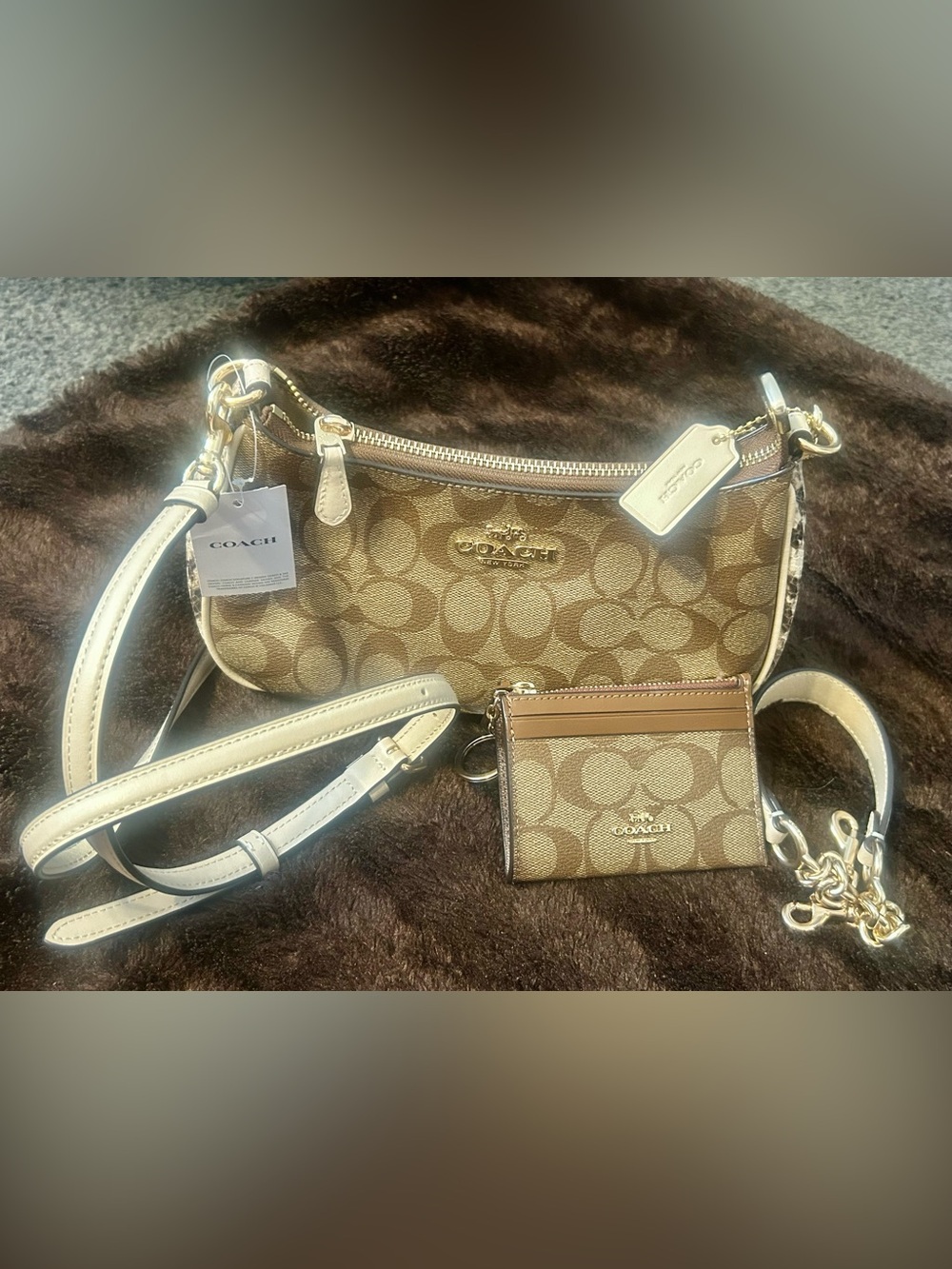 Coach Signature Teri Bag & Wallet